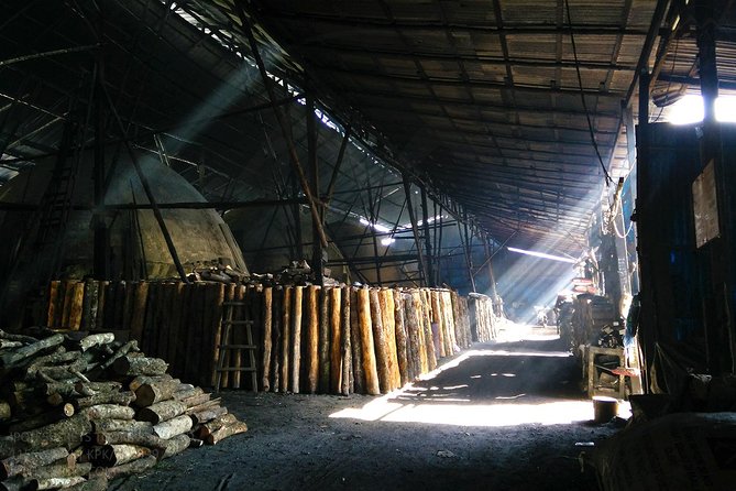 Private Tour: Ipoh Secrets Taiping Heritage & Orang Utan Island - Seeing orangutans through the island tunnel