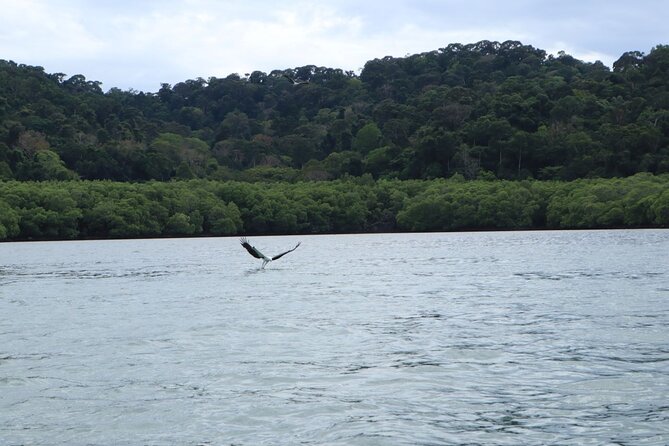 Private Tour: Southern Island Geopark Tour from Langkawi - Beras Basah Island, the beach finale