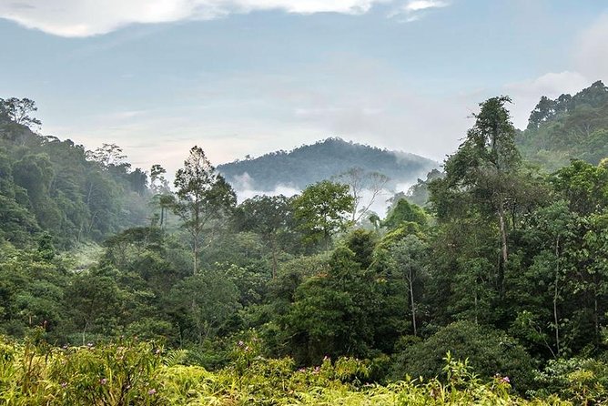 Private Transfer: Kuala Lumpur to Taman Negara National Park (Kuala Tahan Jetty) - Leaving Kuala Lumpur without transport headaches