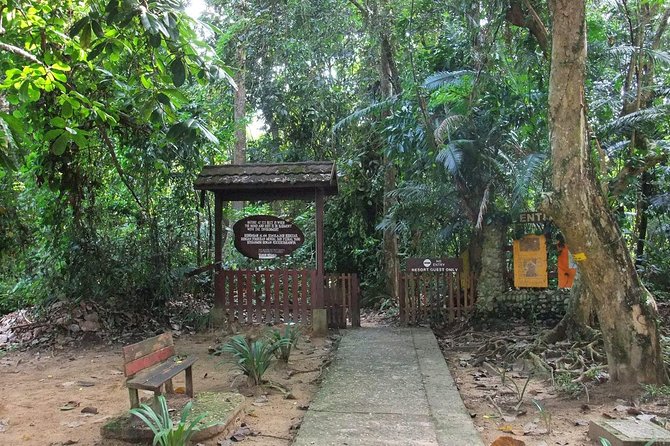 Private Transfer: Kuala Lumpur to Taman Negara National Park (Kuala Tahan Jetty) - What happens at Kuala Tahan Jetty