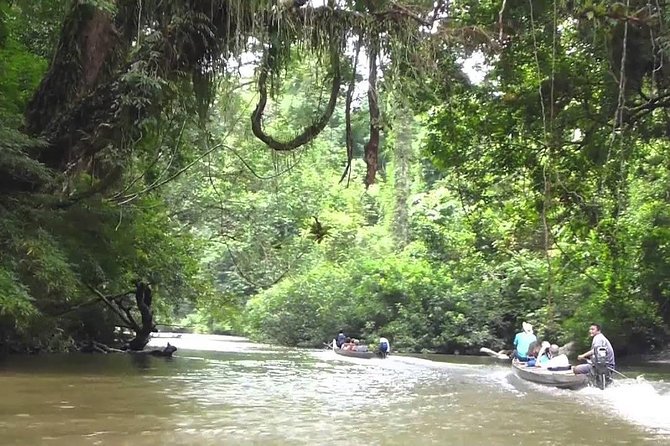 Private Transfer: Kuala Lumpur to Taman Negara National Park (Kuala Tahan Jetty) - Communication, cleanliness, and comfort