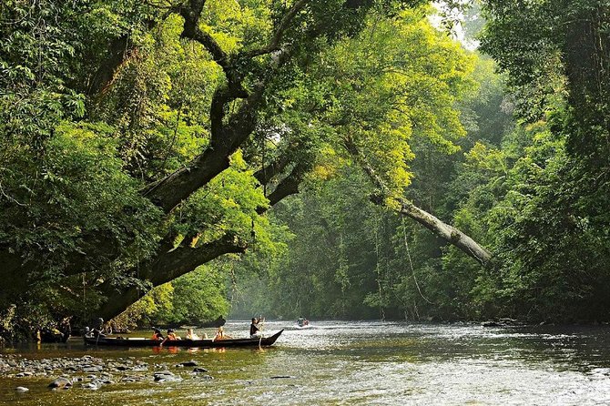 Private Transfer: Kuala Lumpur to Taman Negara National Park (Kuala Tahan Jetty) - A four-hour road trip in a private car