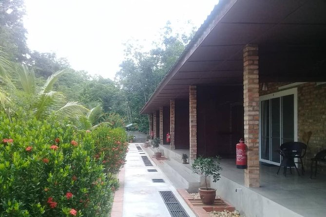 Private Transfer to Taman Negara from Kuala Lumpur - Why a private road transfer makes sense