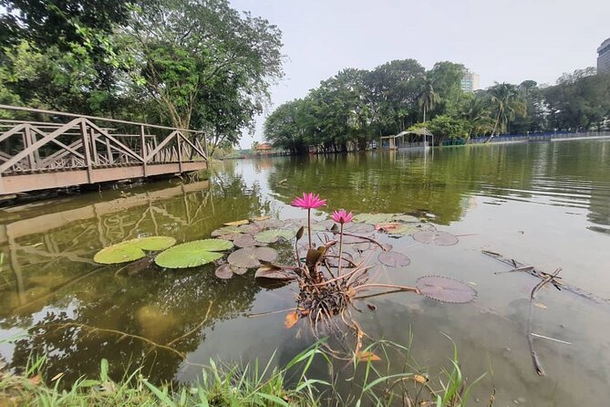 Private Walking Tour of the Shah Alam Lake Gardens with Pick Up and Lunch - Key points at a glance