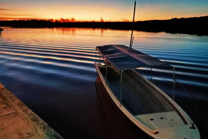 Proboscis Monkey and Fireflies River Cruise - Why proboscis monkeys are the main attraction