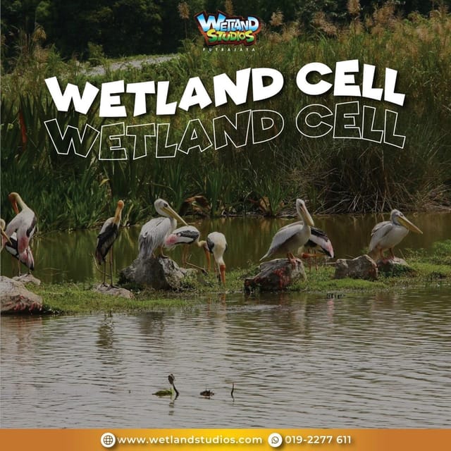 Putrajaya: Wetland Studios Admission Ticket - Connecting the Indoor Visit With Wetland Park