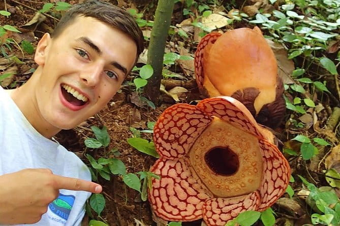 Rafflesia Trek Seekers at Perak (from KL) - Key points before you book