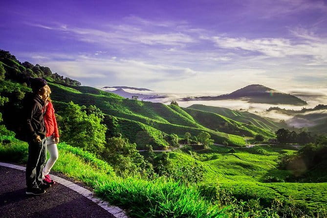 Rafflesia Trek Seekers at Perak (from KL) - Is $130.39 a fair price?