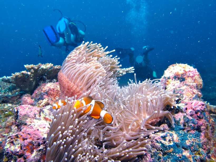 RAID Try-Dive in Kota Kinabalu, Sabah - Key points to know before booking