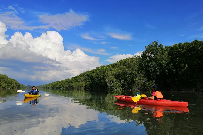 River Exploration and Mangrove Nature Tour by kayaking - Key points to know before you book
