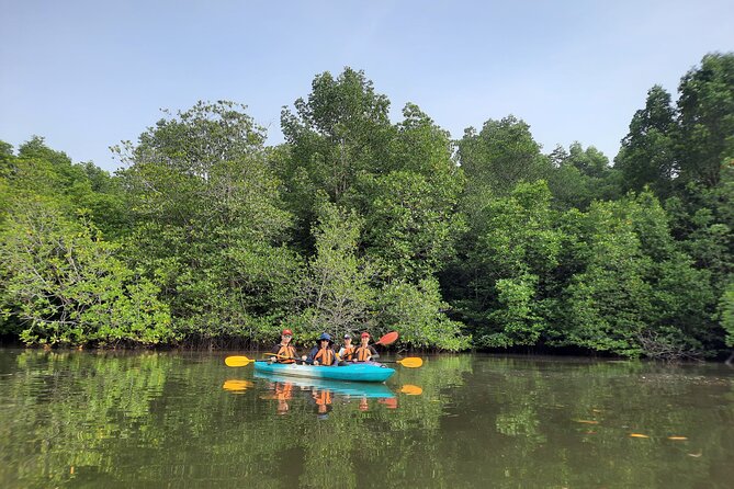 River Exploration and Mangrove Nature Tour by kayaking - Launching into a quiet mangrove world