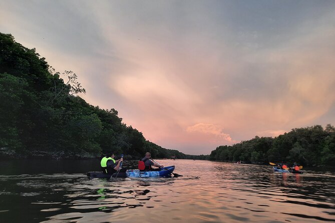 River Exploration and Mangrove Nature Tour by kayaking - Wildlife sightings, with realistic expectations