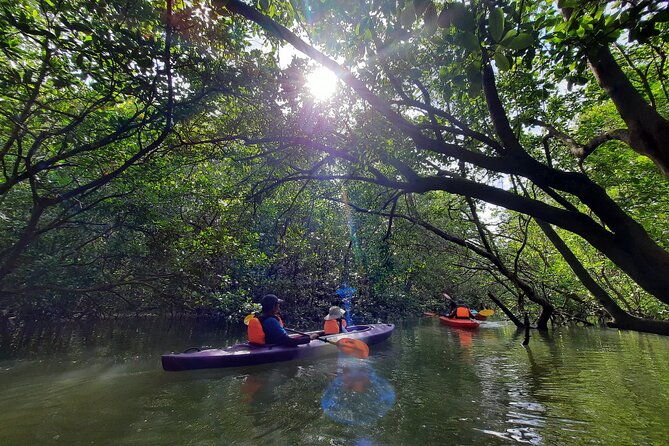River Exploration and Mangrove Nature Tour by kayaking - Who will enjoy this Sepang River outing?