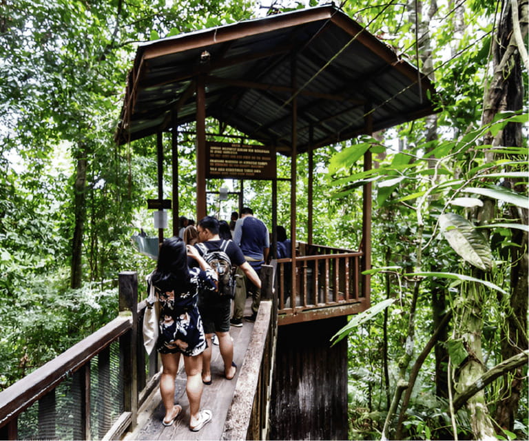 Sabah: Kinabalu Park, Hot Springs, and Cow Farm Day Tour - The canopy walkway closure changes the afternoon