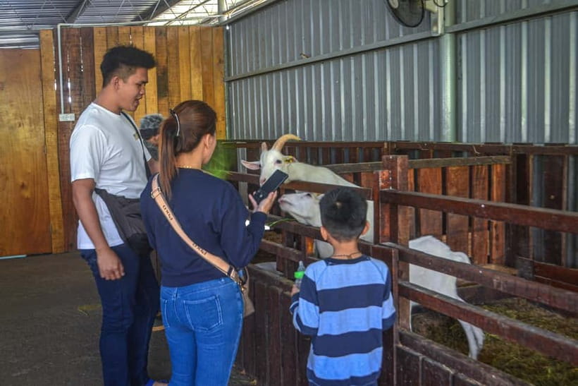 Sabah: Kinabalu Park, Poring Hot Springs & Desa Farm Tour - Who should book this day out?
