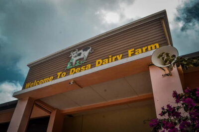 Kinabalu Park, Poring Hot Springs & Desa Farm Tour