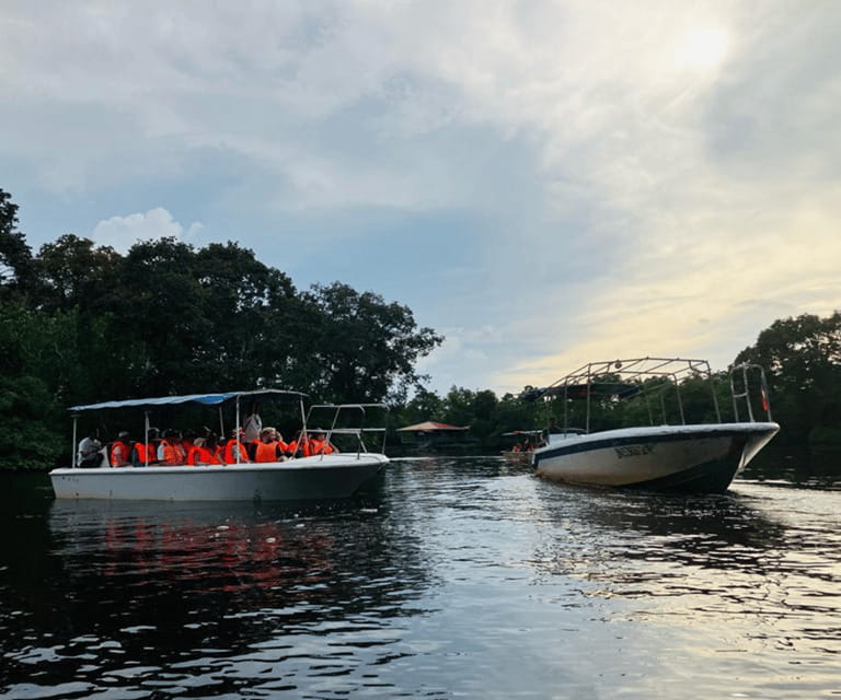 Sabah: Klias River Cruise Day Tour Ticket - Is $59 Good Value?