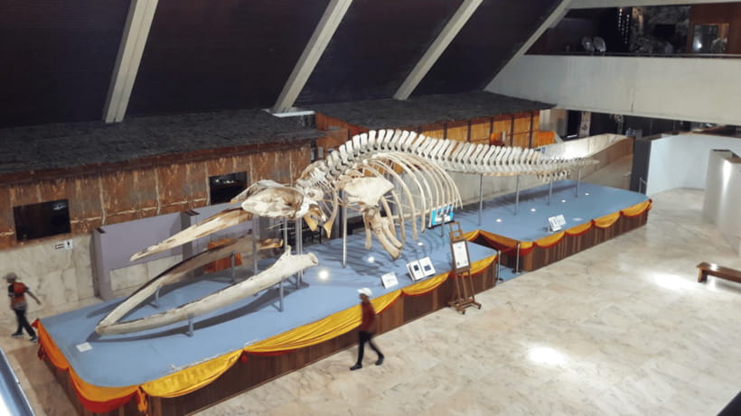 Sabah : Kota Kinabalu City Tour - The Art Attic and the risk of a changed schedule