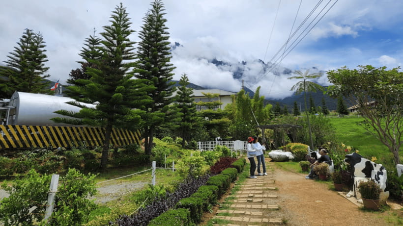 Sabah: Kundasang Nature Day Tour - The Moroli River fish spa is a cheerful pause