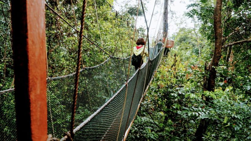 Sabah: Kundasang Nature Day Tour - The Canopy Walkway supplies the main thrill