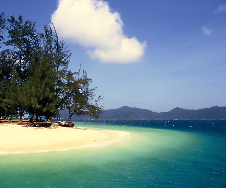 Sabah : Mamutik & Sapi Island Excursion Ticket - Tommy’s guiding gets the strongest praise