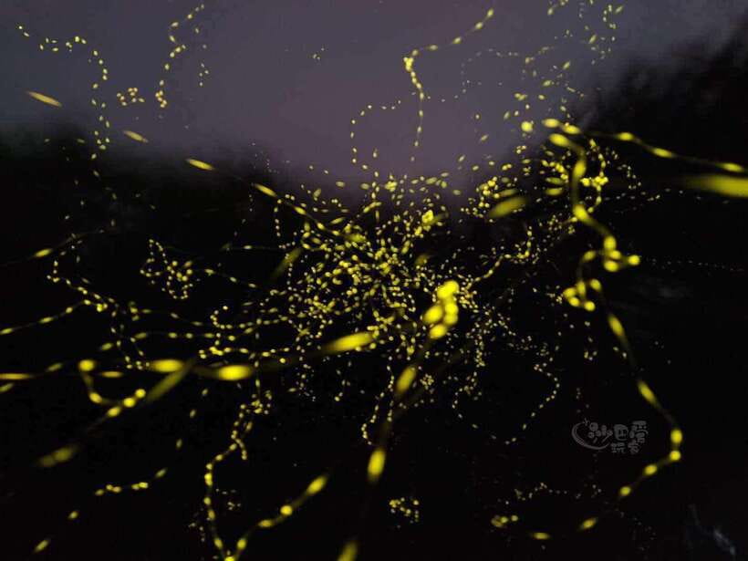 Sabah: Mangrove Fireflies, and Sky Mirror Dream Beach Tour - Key points to know before booking