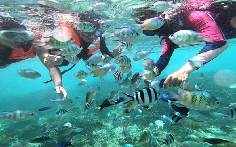 Sabah: Mantanani Island Day Tour with Lunch - The 90-Minute Van Ride from Sabah Hotels