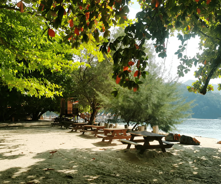 Sabah: Manukan and Sapi Islands Excursion Ticket - Who will enjoy this day most?