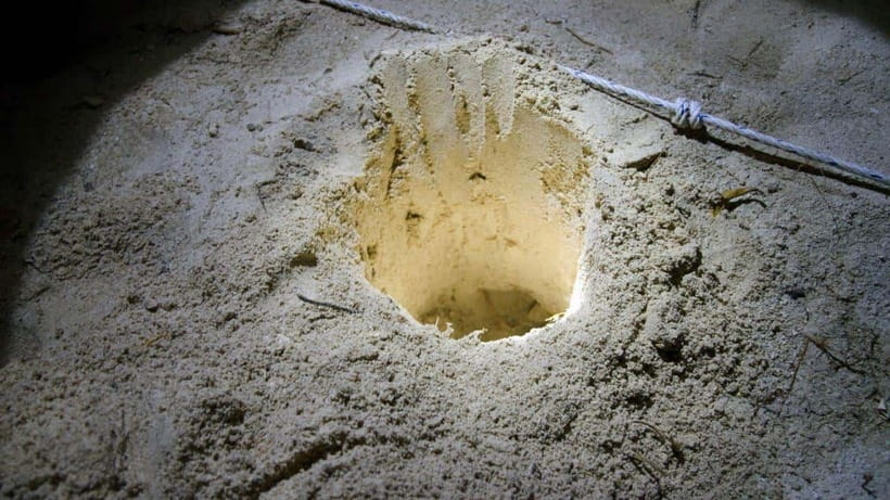 Sandakan : 2 Days 1 Night At Turtle Island - Who will enjoy this Selingan Island trip?