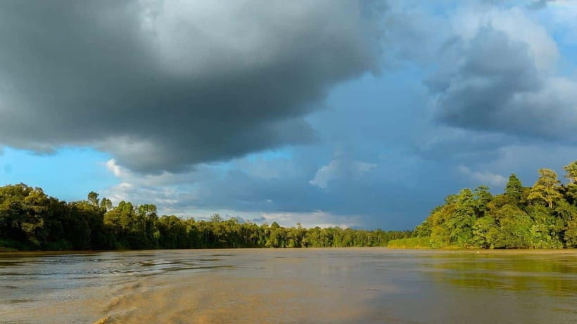 Sandakan: 2 Days 1 Night Bilit, Kinabatangan River Wildlife - The sunset cruise is the main event
