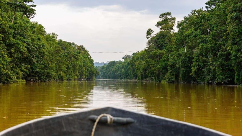 Sandakan : 3-Day Kinabatangan River Wildlife Adventure - Your first Bilit cruise at sunset