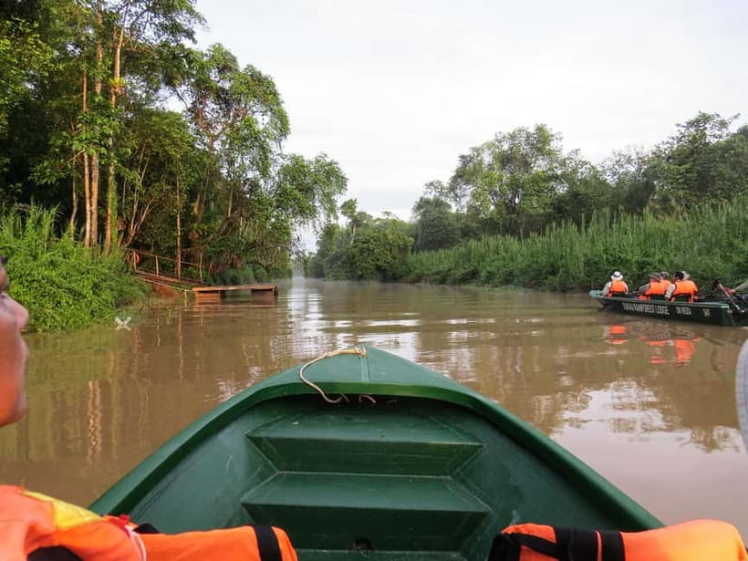 Sandakan: 3D2N The Wild Heart of Borneo River Secrets - Dawn on the Kinabatangan