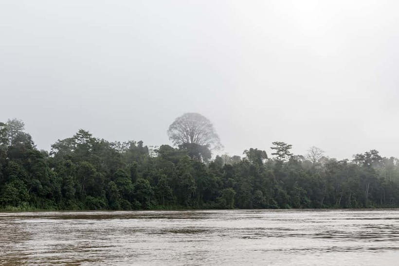 Sandakan: 3D2N The Wild Heart of Borneo River Secrets - What the accommodation is really like