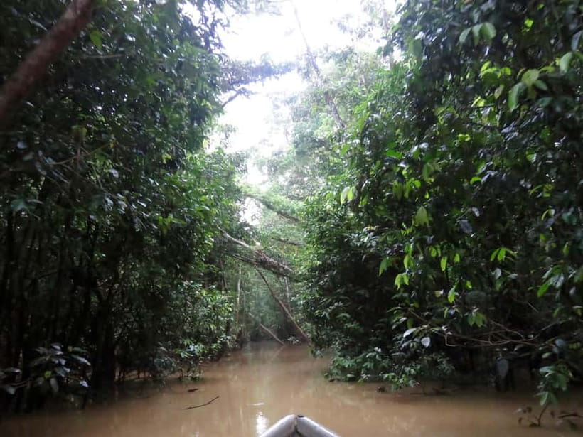 Sandakan: 3D2N The Wild Heart of Borneo River Secrets - Meals, boats, and daily comfort