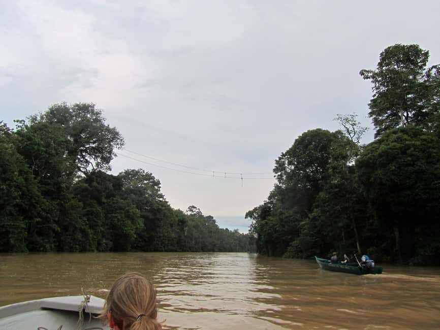 Sandakan: Gomantong Cave Echoes & Kinabatangan River Safari - Why this Sandakan day trip works