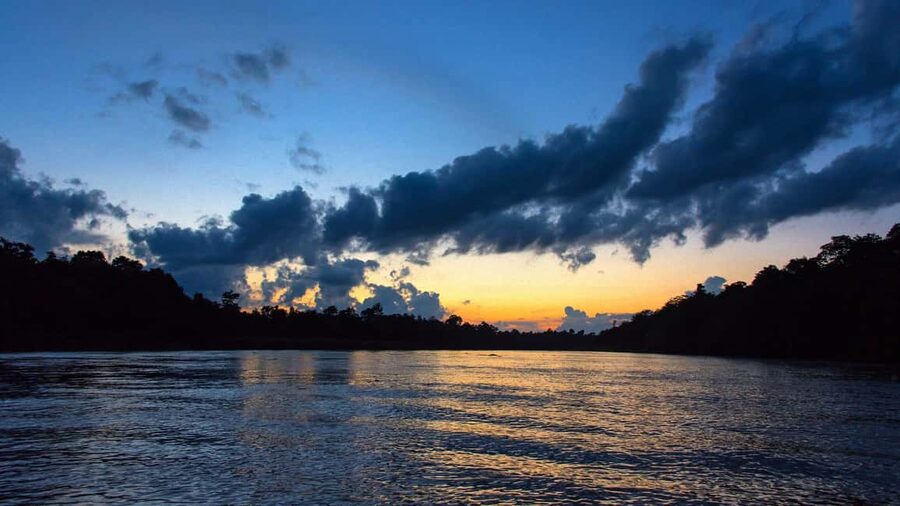 Sandakan: Gomantong Cave Echoes & Kinabatangan River Safari - The 4 PM river cruise