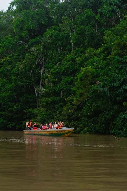 Sandakan: Kinabatangan River Wildlife Cruise with Lunch - The five details that matter most