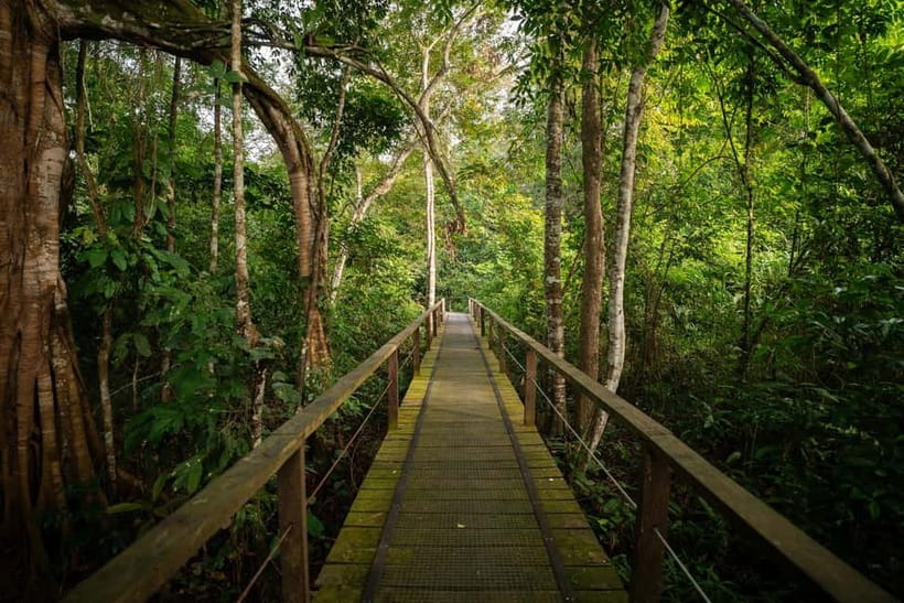 Sandakan: Kinabatangan River Wildlife Cruise with Lunch - The two-hour Kinabatangan boat cruise