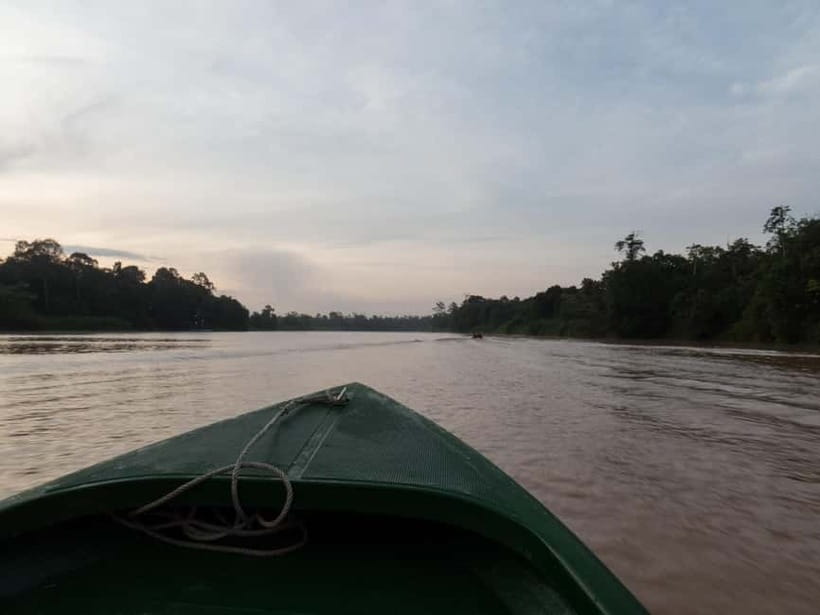 Sandakan: Sukau Rainforest Wildlife Journey & Dawn Cruises - What happens when you reach the river
