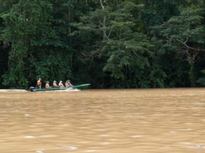 Sukau Rainforest Wildlife Journey & Dawn Cruises