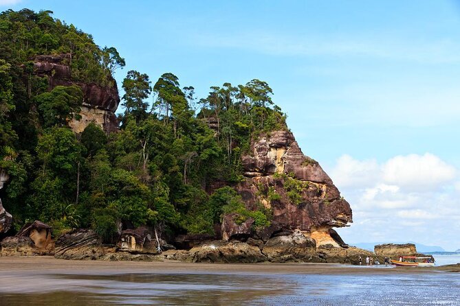 Sarawak Bako National Park Tour : Pristine Rainforest Jungle - Why Bako National Park is worth a full day from Kuching