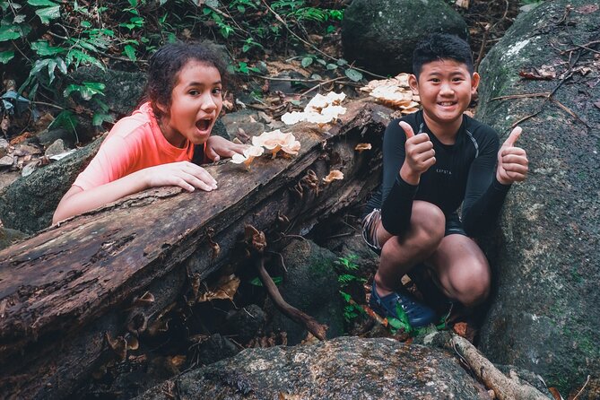 Secluded Waterfall Adventure - Why this waterfall trip feels different