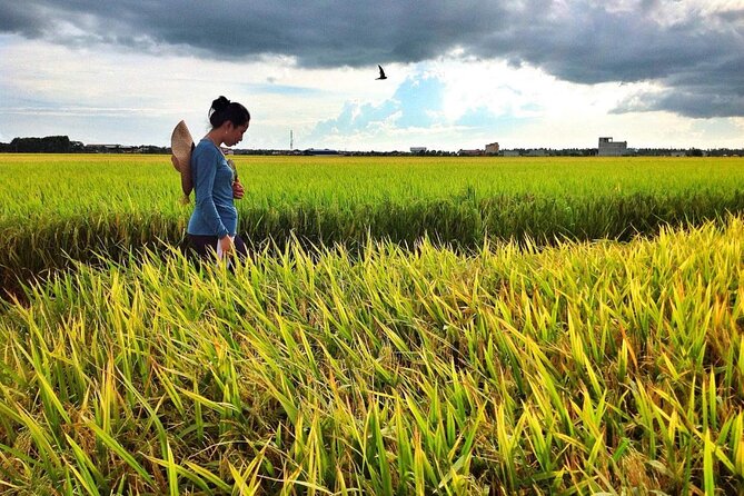 Sekinchan Paddy Field, Fishing Village & Kuala Selangor Fireflies Tour - Key points to know before booking