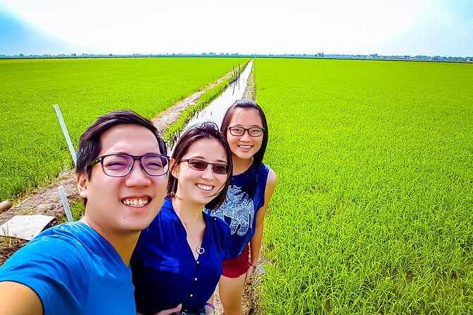 Sekinchan Paddy Field, Fishing Village & Kuala Selangor Fireflies Tour - Fireflies along the Kuala Selangor mangroves