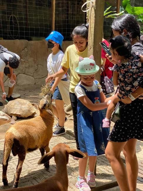 Selangor: Farm In The City Entry Ticket - Meeting animals in a hands-on setting