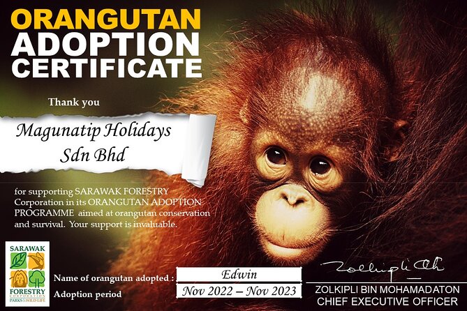 Semenggoh Orangutan Centre from Kuching - Why Semenggoh is more than an animal viewing stop