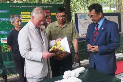 Semenggoh Wildlife Centre: Orangutan Discovery from Kuching