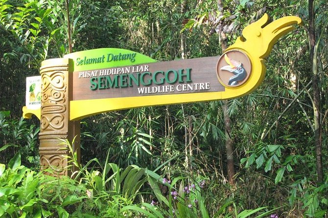 Semenggoh Wildlife Centre: Orangutan Discovery from Kuching - Walking conditions: prepare for damp ground
