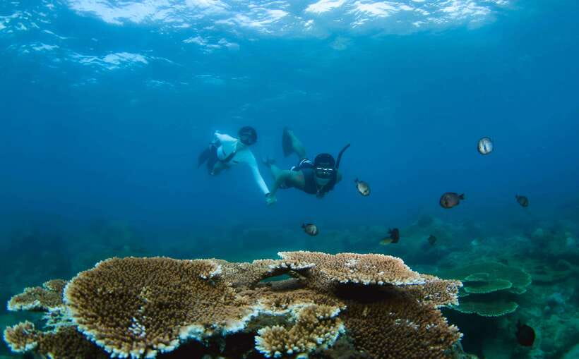 Semporna: Explore 3 Islands Tour Snorkel or Dive & Lunch - Timba-Timba: beach views and first water practice