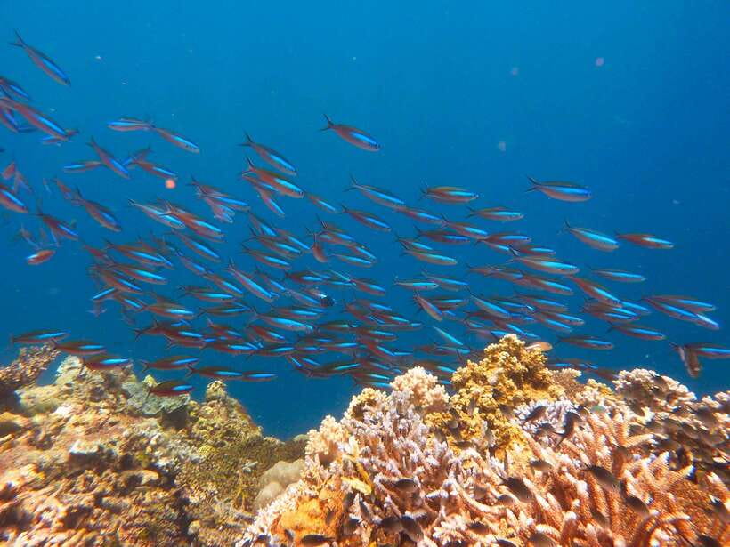 Semporna: Mabul and Kapalai Trip in Snorkel or Dive & Lunch - Practical packing for a wet, exposed day